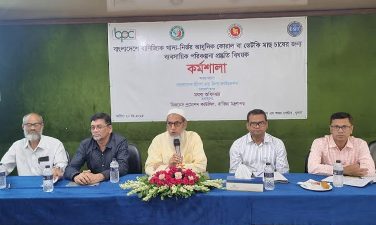 Seabass farming can boost fish export, diversify aquaculture: workshop