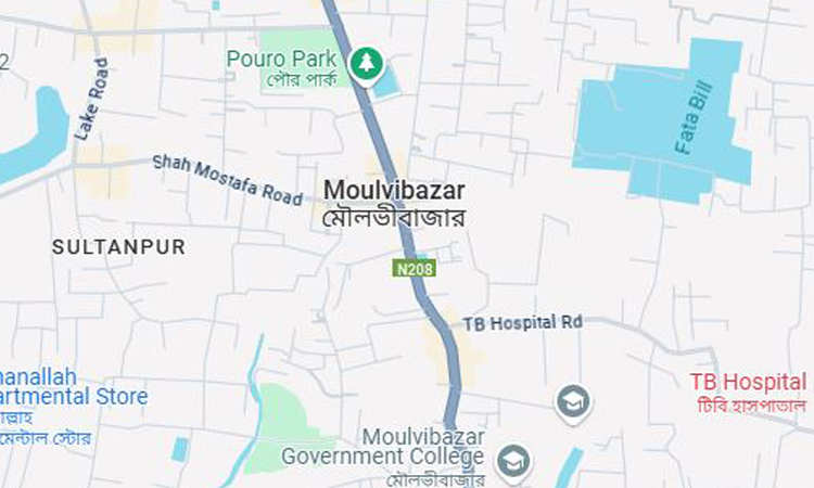 Tea Labourers Day observed in Moulvibazar