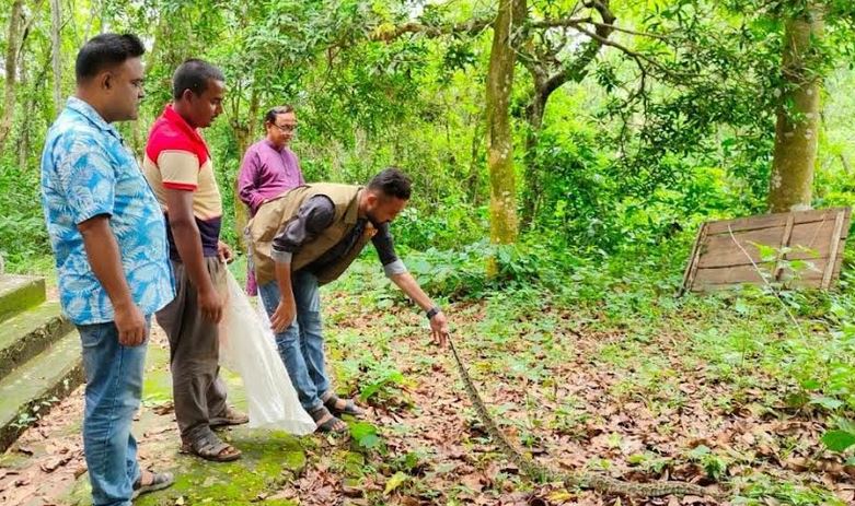 Burmese python rescued in Sherpur