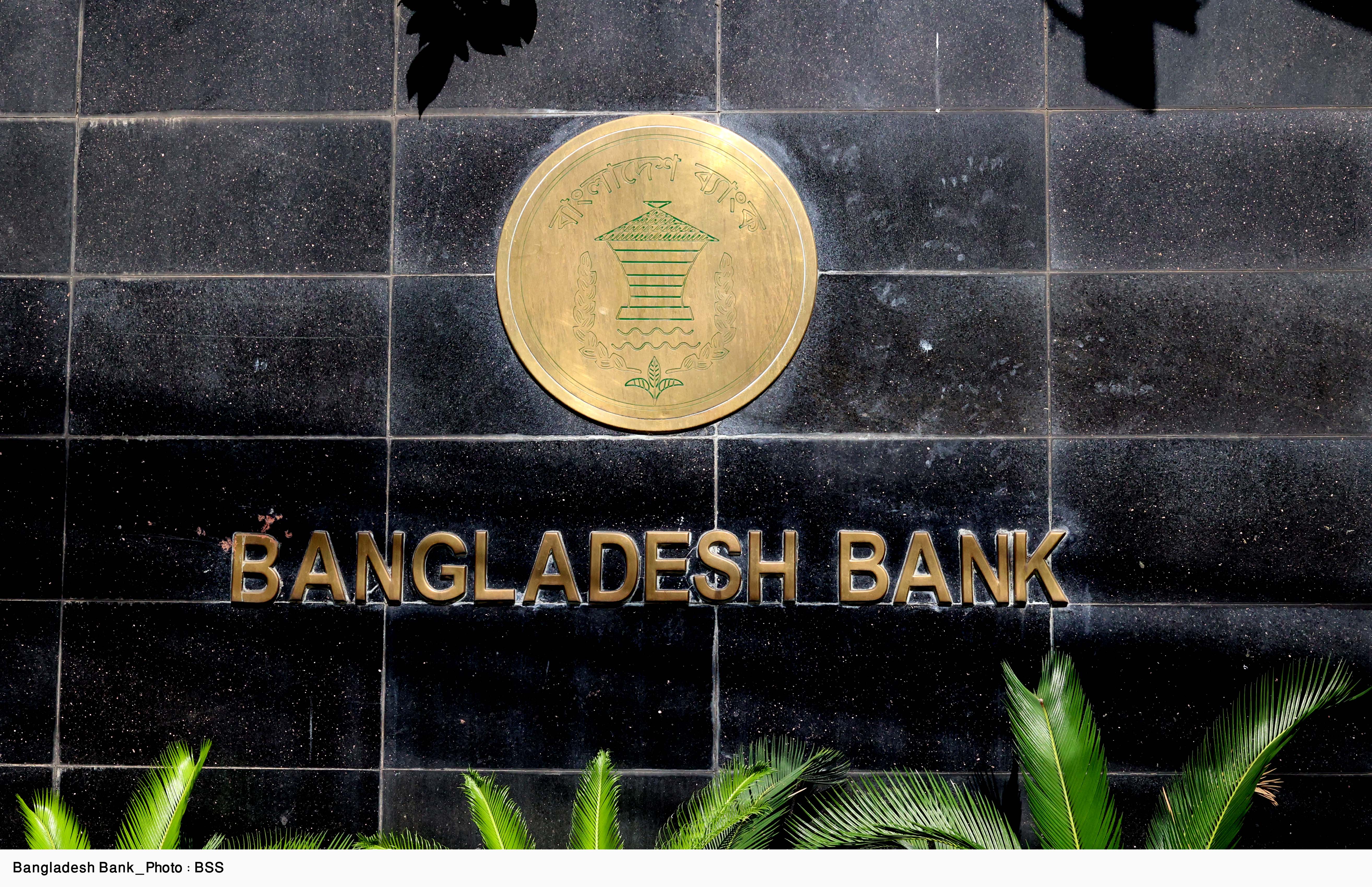 Establishing dedicated institution for Islamic Banking under DU underscored