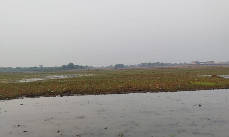 Wetlands wildlife sanctuary to conserve biodiversity: Experts
