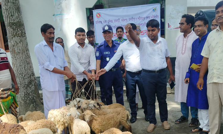 Govt distributes sheep, goats among Manikganj char people 
