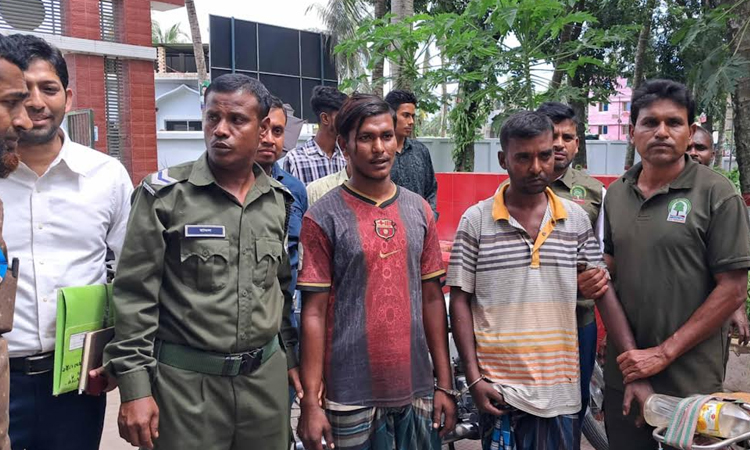 Two poachers jailed, deer hide, heads recovered from Sundarbans