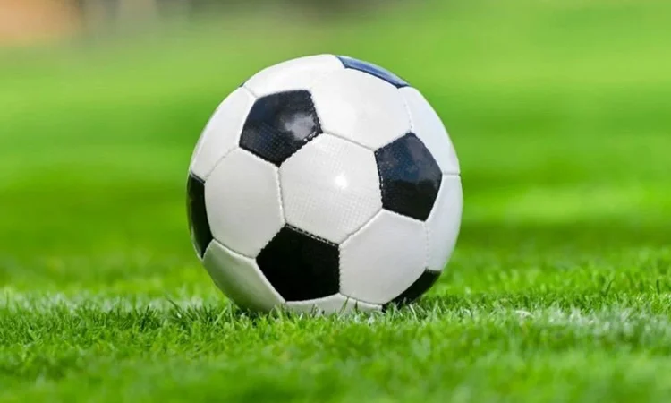 Kings finish third in BPL