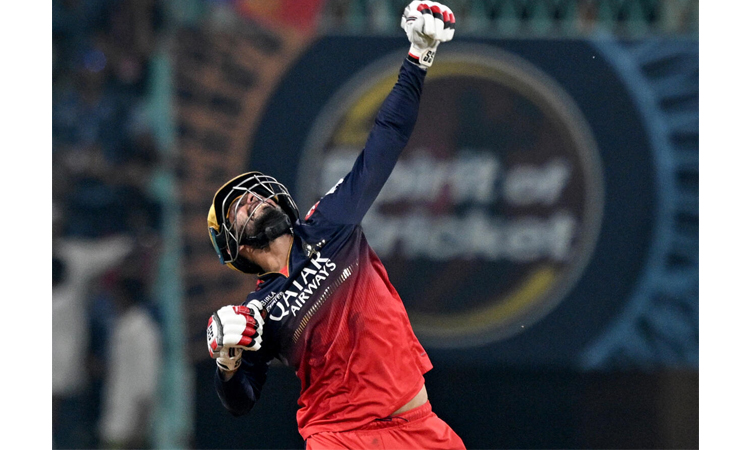 Jitesh, Kohli power Bengaluru into IPL qualifier 1