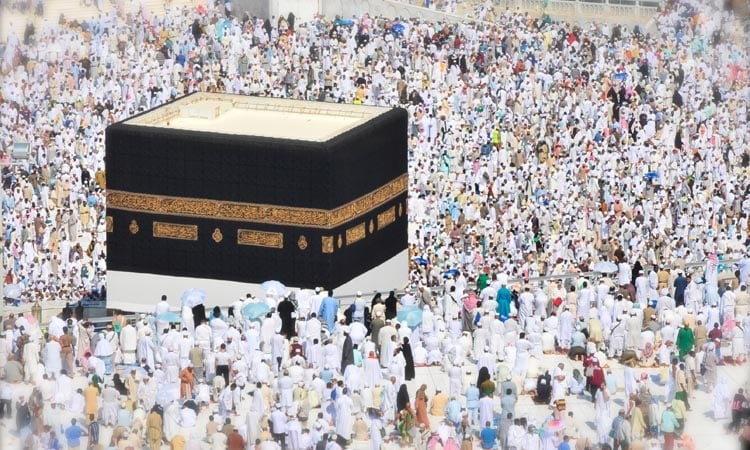 Over 74,000 pilgrims reached Saudi for Hajj till today