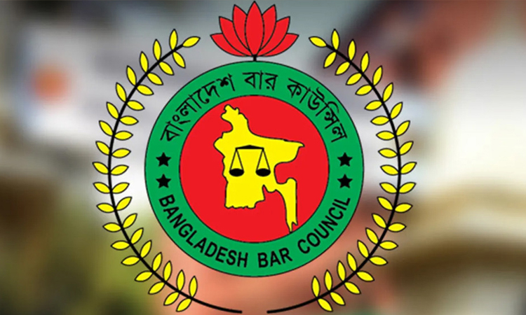 Ad-hoc Bar Council formed with attorney general as its chairman  