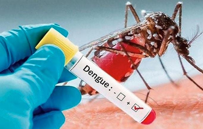 21 dengue patients hospitalized in last 24 hrs