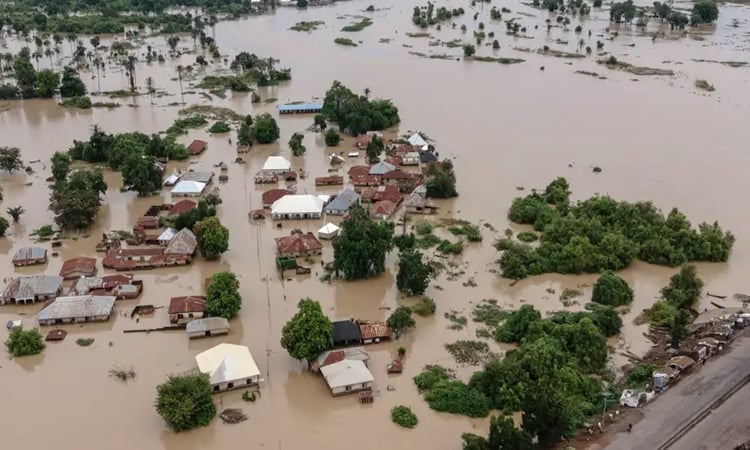Rescue operations underway after Nigeria flooding kills at least 150