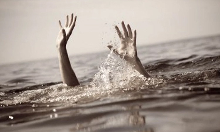 Twin sisters drown in Sherpur 
