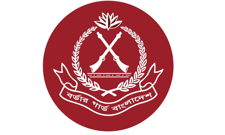 BGB seizes huge drugs in Dinajpur