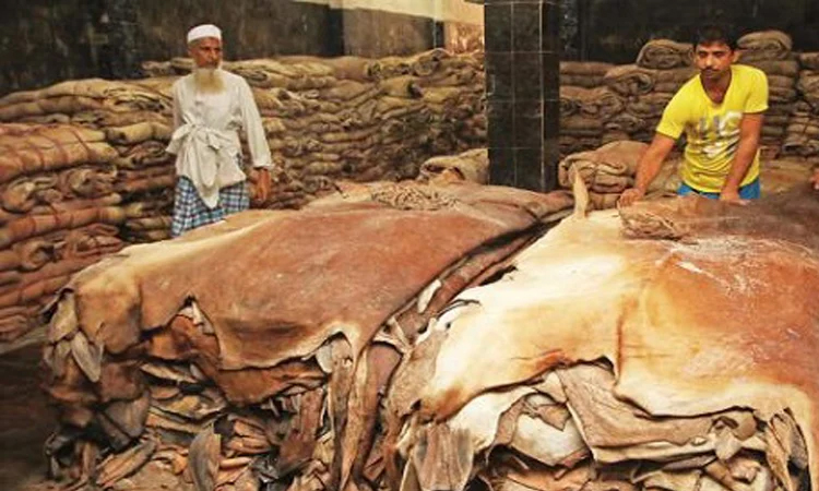 7.74 Lakh Rawhides Preserved in Chattogram