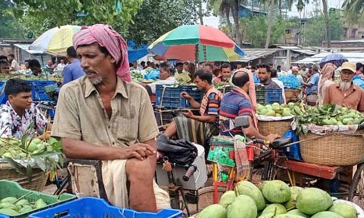 Mango trade picks up again in Rajshahi after Eid break