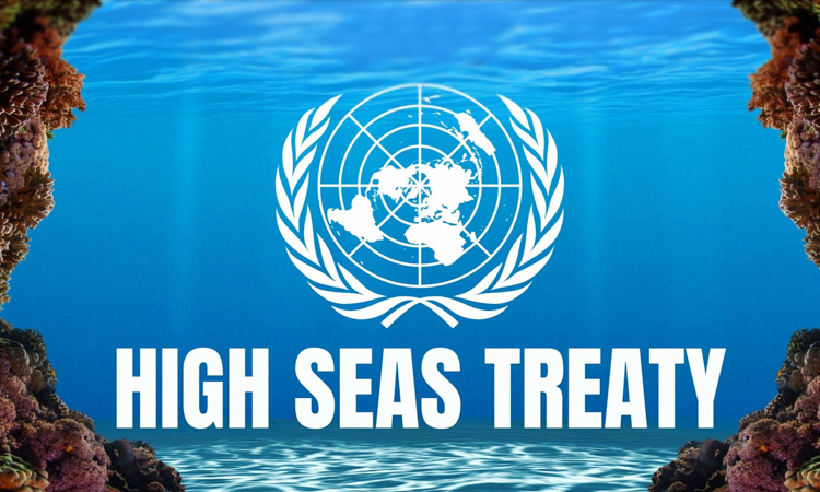 What is the high seas treaty?