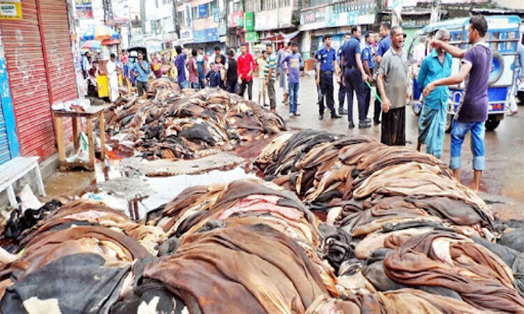 Traders collect 3.27 lakh rawhides in Khulna division
