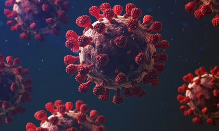 13 more Covid-19 cases reported in country