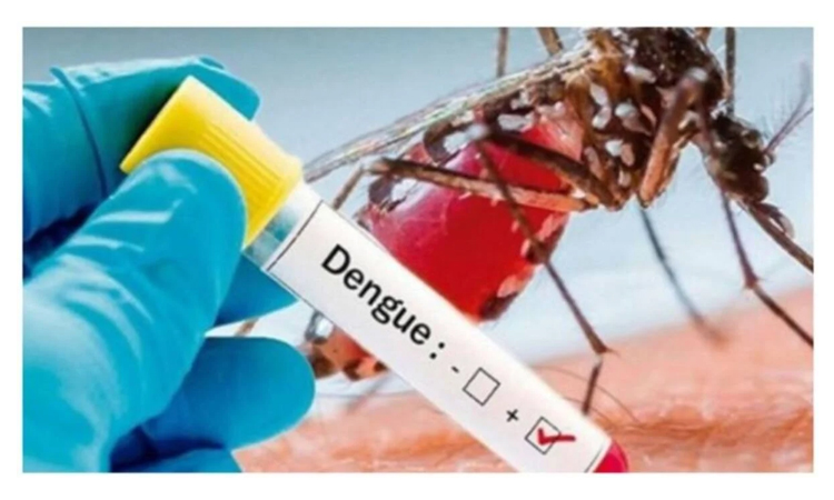 38 dengue patients hospitalized in last 24 hrs