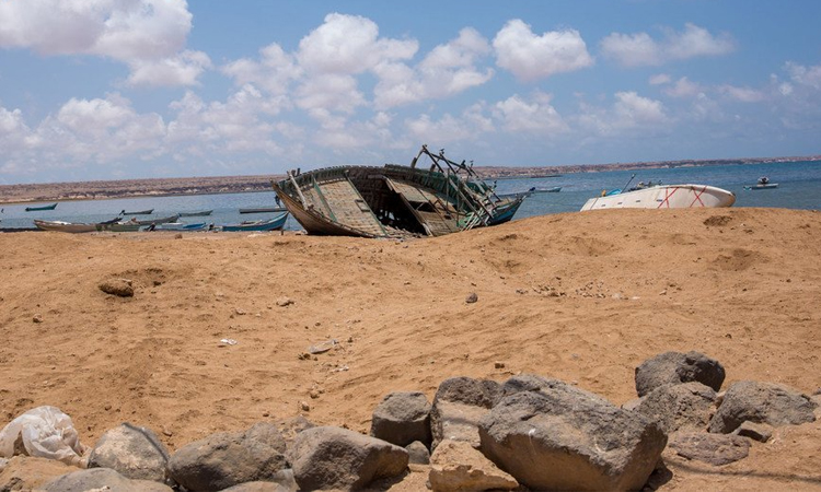 Eight dead as migrants forced off boat near Djibouti: IOM