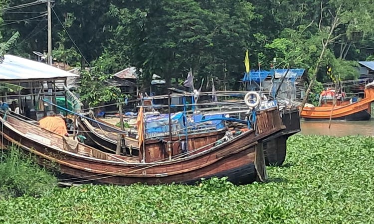 Fishermen, traders happy as hilsa netting begins in Bay of Bengal