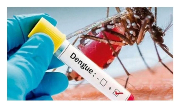 5 dengue patients die, 159 hospitalised in last 24hrs