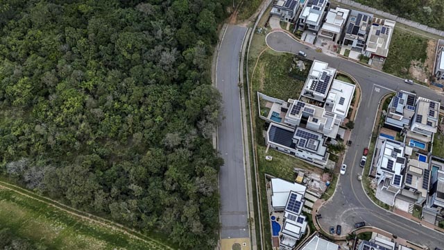 Sao Paulo's pumas under attack as 'stone jungle' threatens rainforest