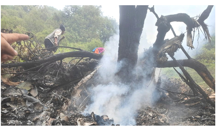 Toddler among seven killed in India chopper crash