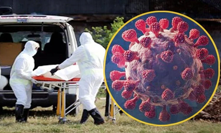 One dengue patient dies, 249 hospitalised in last 24hrs