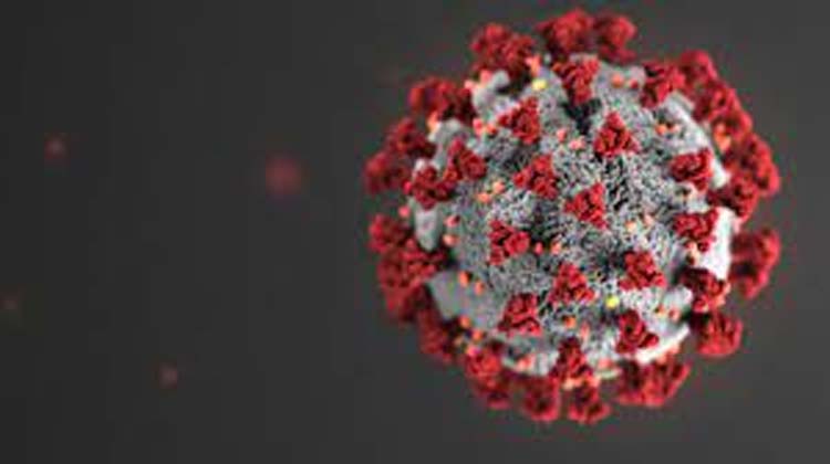 10 more Covid-19 cases reported in Ctg