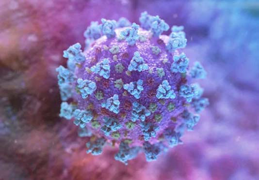 28 new COVID-19 cases reported in 24 hours