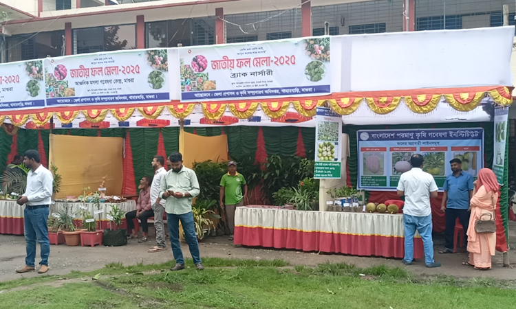 3-day national fruit fair begins in Magura
