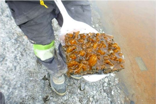 How did life survive 'Snowball Earth'? In ponds, study suggests