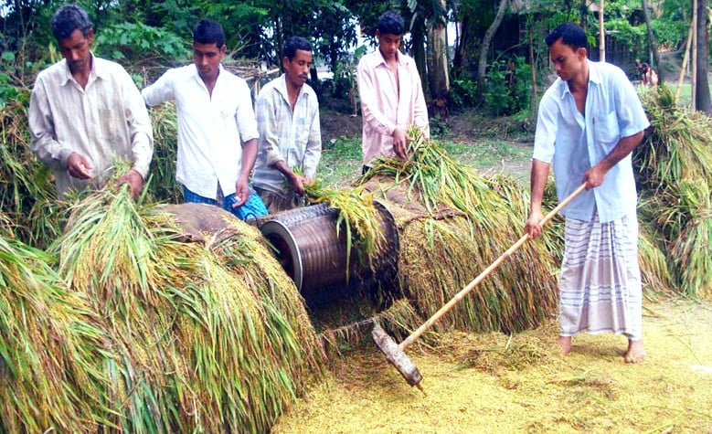 Rangpur produces record 23-lakh tonnes of clean Boro rice, exceeds target