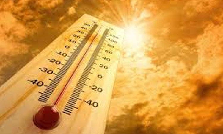 Morocco says 2024 'hottest year' on record 
