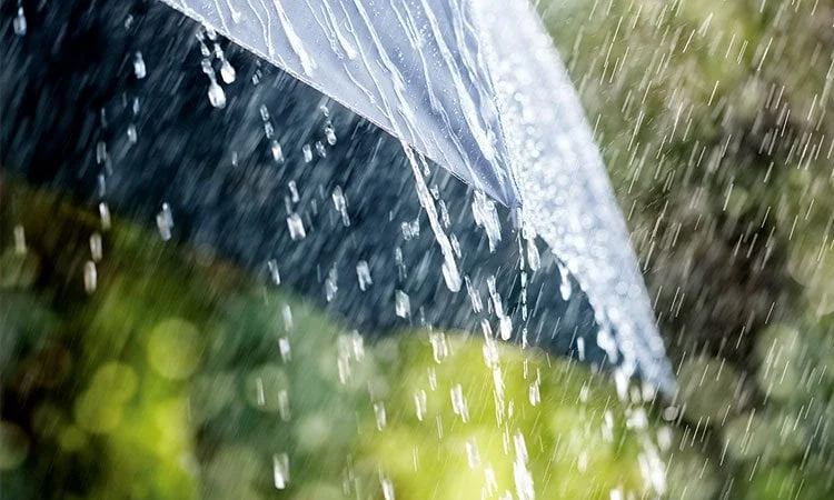 Light to moderate rain likely over country