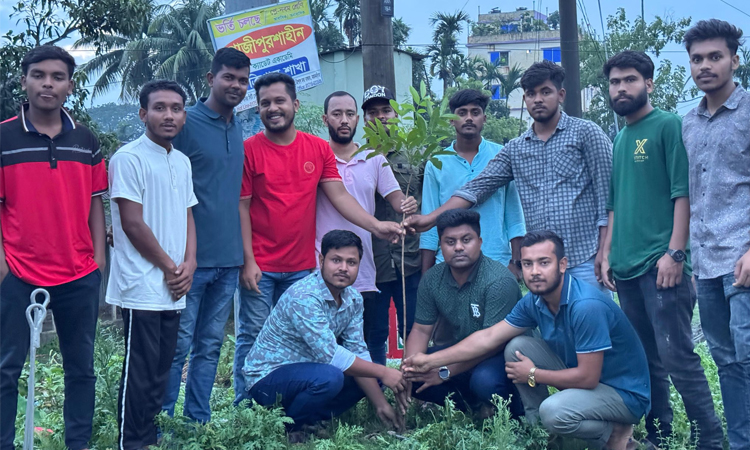 JCD launches nationwide tree plantation drive