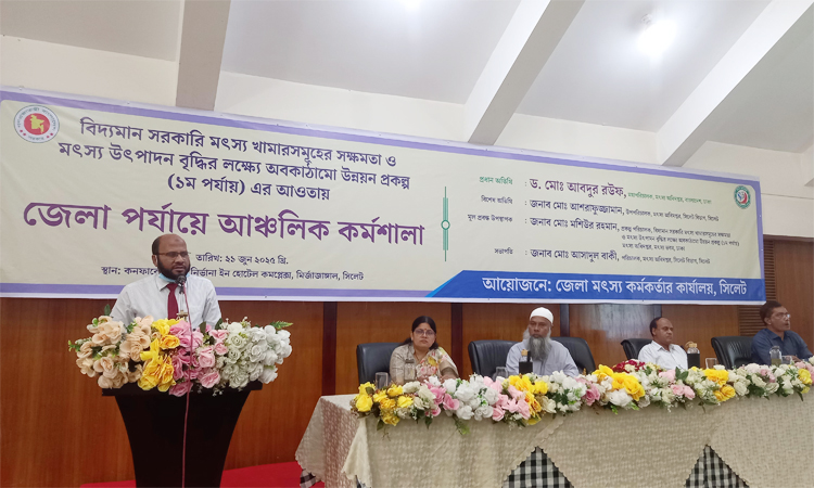 Fisheries dept to increase fish fry's quality, increase its production: DG 