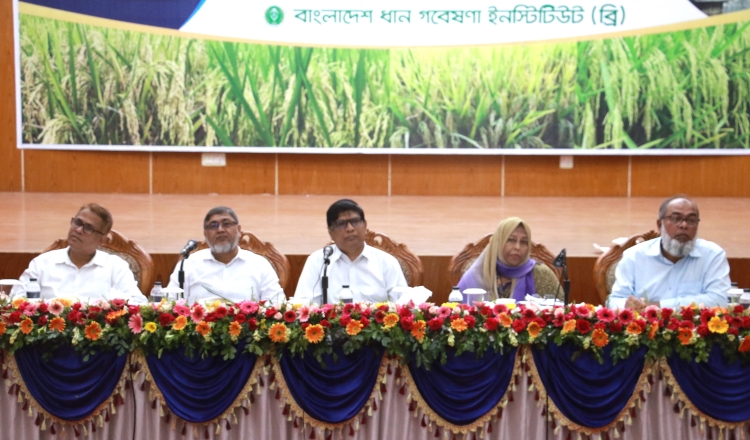 Local rice innovation programs making progress: BRRI