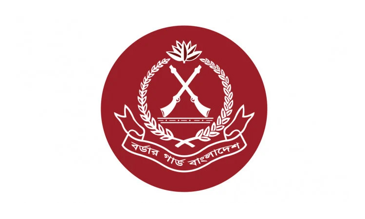 BGB seizes firearms, mortar shells, grenades in Teknaf