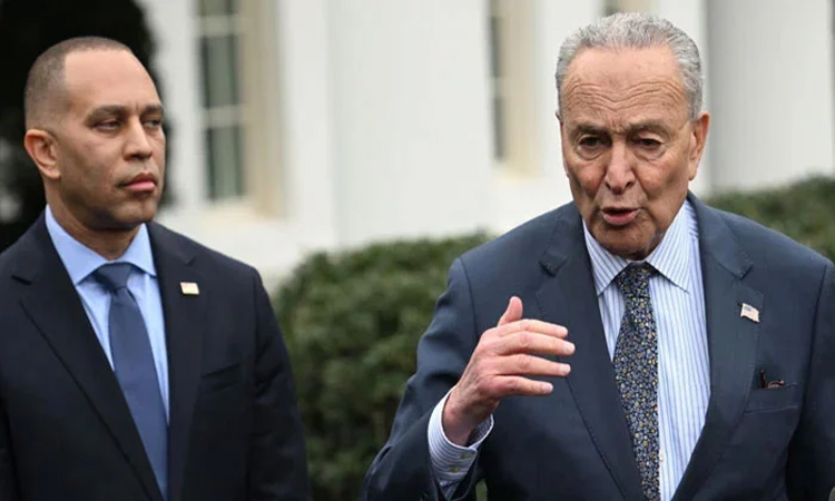 Democrats assail 'erratic' Trump over Iran strikes