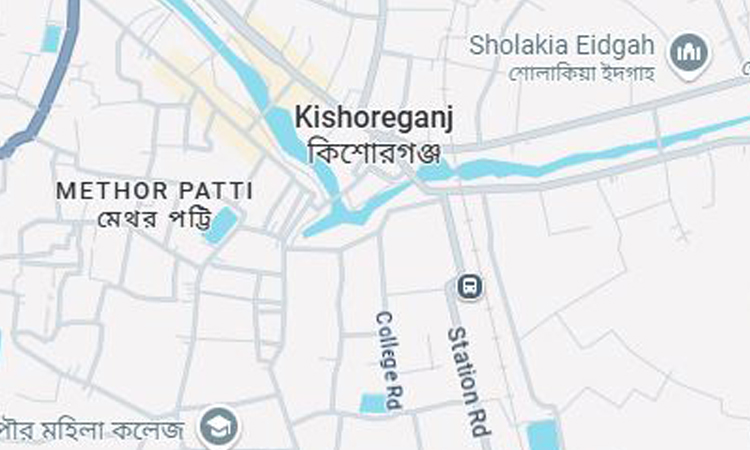 Man dies after falling from tree in Kishoreganj