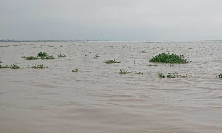Water level in major rivers rises in Gaibandha 