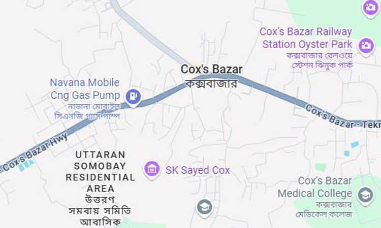 Housewife killed in wild elephant attack in Cox's Bazar 