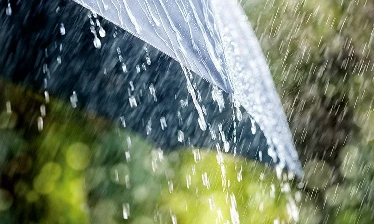 Light to moderate rain likely over country