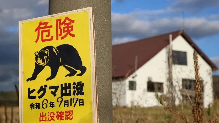 Bear roaming runway halts flights at Japanese airport