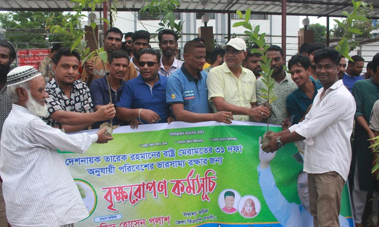 Tree plantation programme held in Naogaon