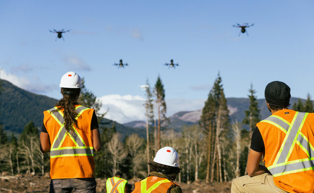 Canada turns to drones for reforestation after wildfires