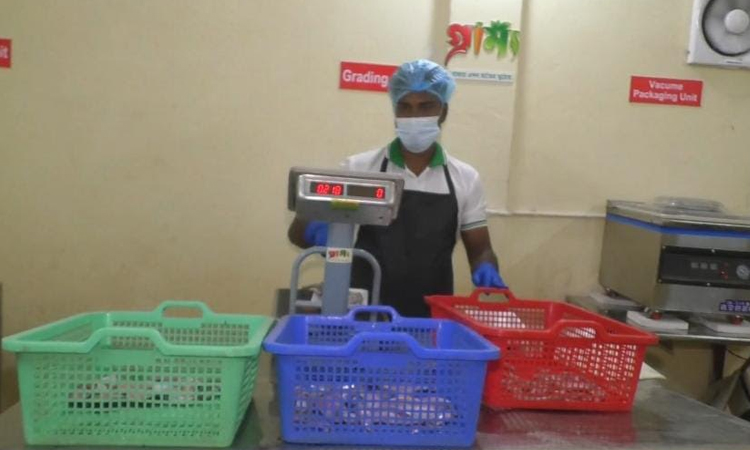 Educated youth Emon builds success with online fish business