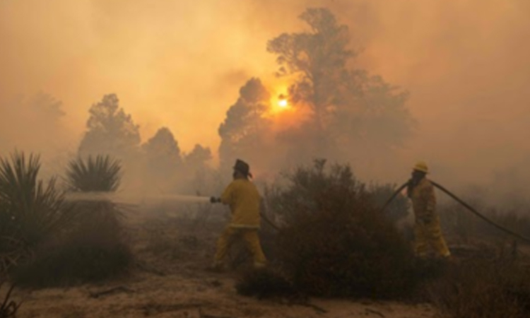 High winds fuel wildfires near Turkish resort of Izmir