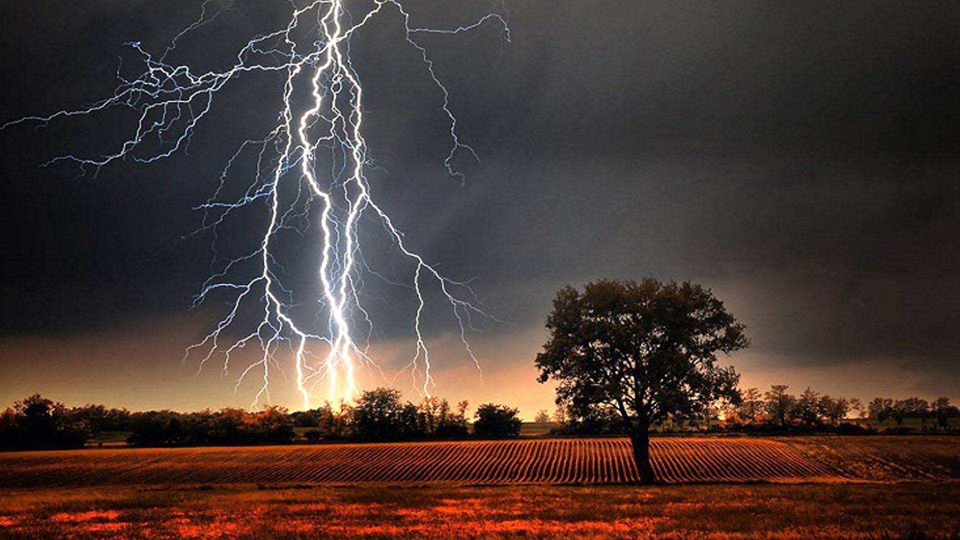 Schoolboy killed in lightning strike in Jashore