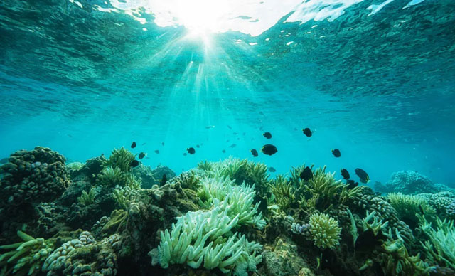 Deep-sea mining negotiators to meet under Trump shadow
